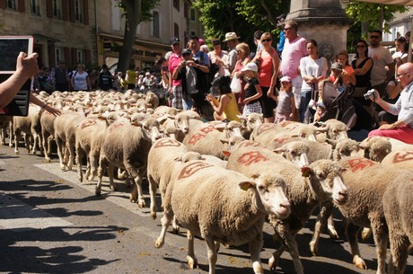 saint-remy-de-provence