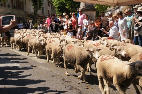 saint-remy-de-provence
