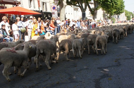 saint-remy-de-provence