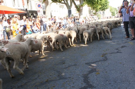 saint-remy-de-provence