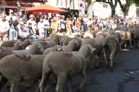 saint-remy-de-provence