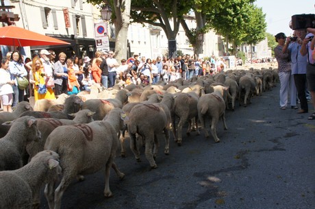 saint-remy-de-provence