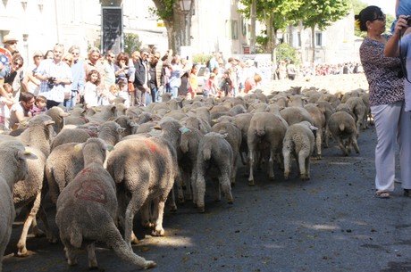 saint-remy-de-provence