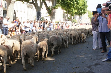saint-remy-de-provence