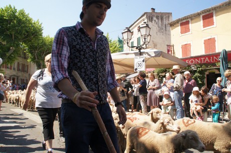 saint-remy-de-provence