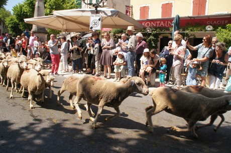 saint-remy-de-provence