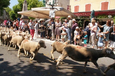 saint-remy-de-provence