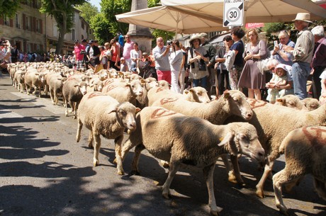 saint-remy-de-provence