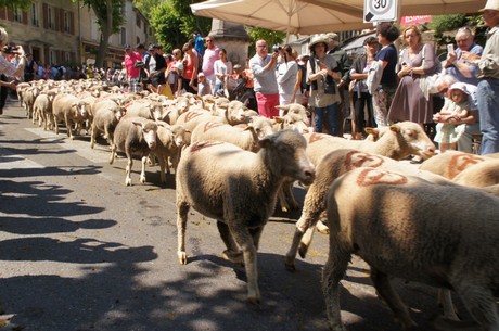 saint-remy-de-provence