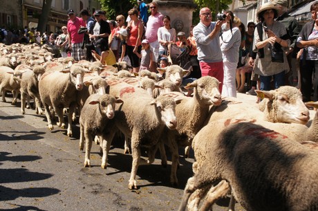 saint-remy-de-provence