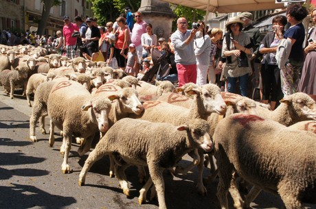 saint-remy-de-provence