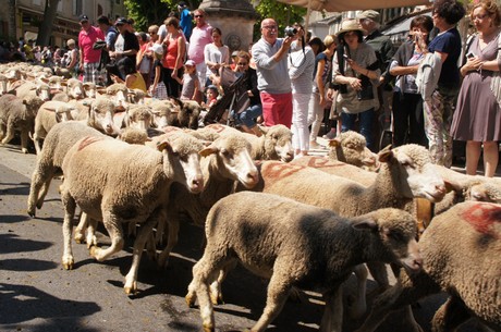 saint-remy-de-provence