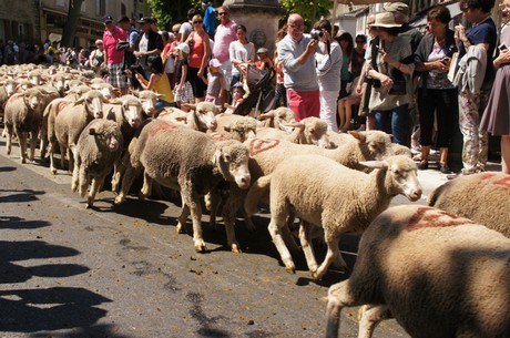 saint-remy-de-provence