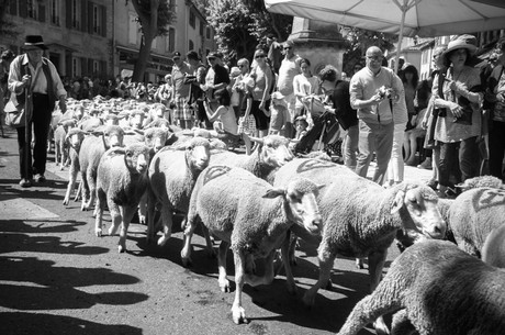 saint-remy-de-provence