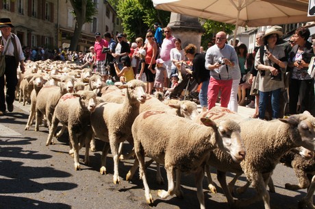 saint-remy-de-provence