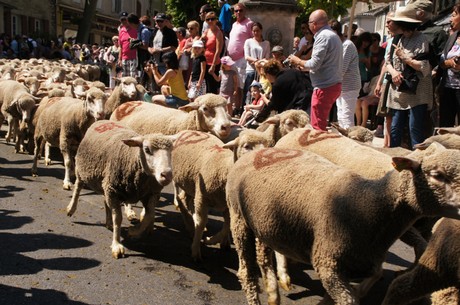 saint-remy-de-provence