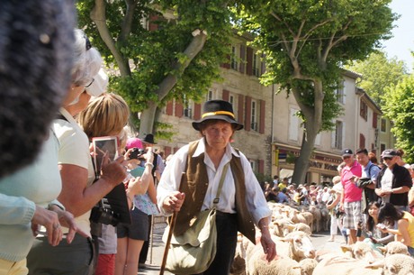 saint-remy-de-provence