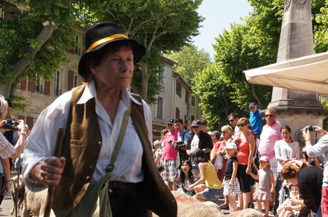 saint-remy-de-provence