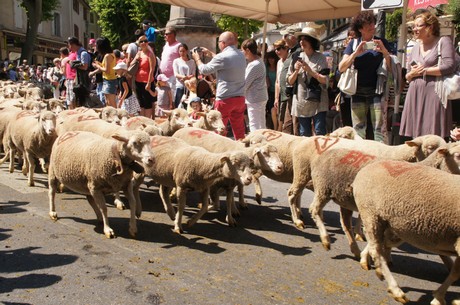 saint-remy-de-provence