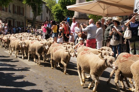 saint-remy-de-provence