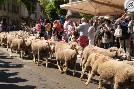 saint-remy-de-provence