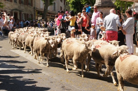 saint-remy-de-provence