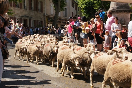 saint-remy-de-provence