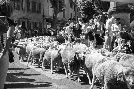 saint-remy-de-provence