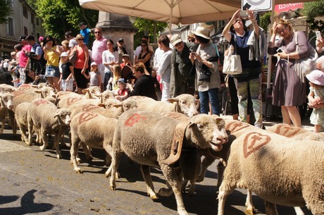 saint-remy-de-provence