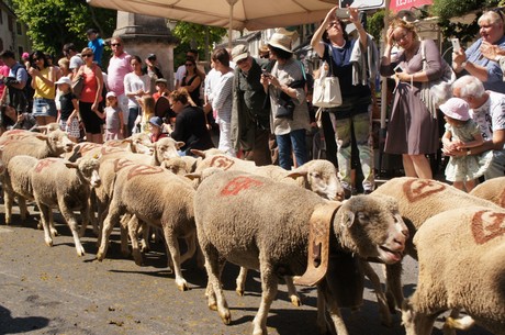 saint-remy-de-provence