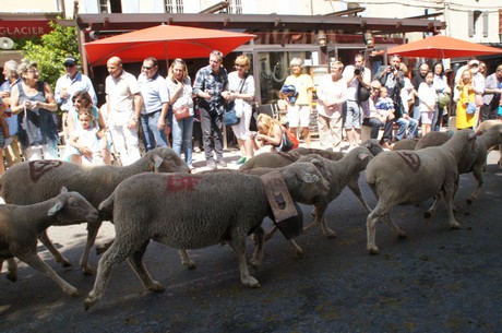saint-remy-de-provence
