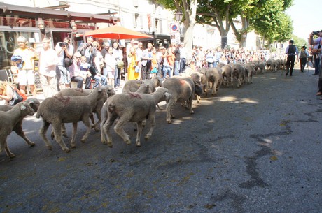 saint-remy-de-provence