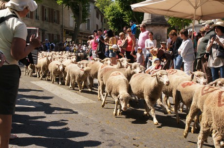 saint-remy-de-provence