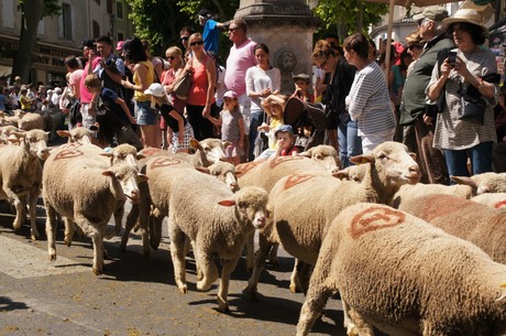 saint-remy-de-provence