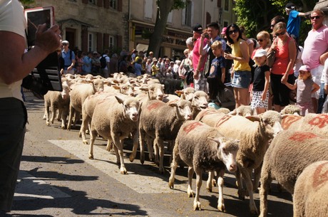 saint-remy-de-provence