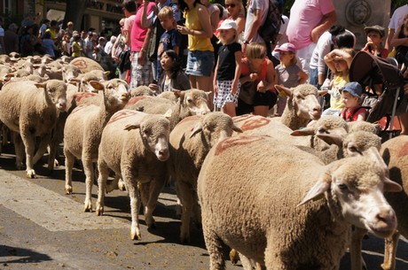 saint-remy-de-provence