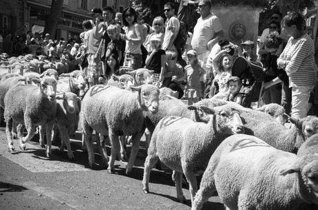 saint-remy-de-provence