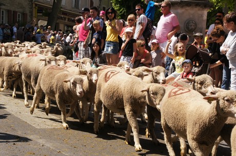 saint-remy-de-provence