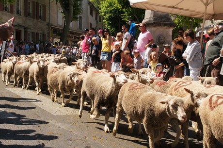 saint-remy-de-provence