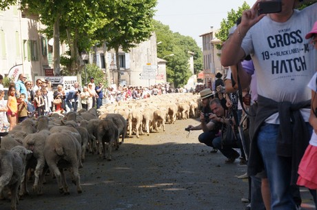 saint-remy-de-provence
