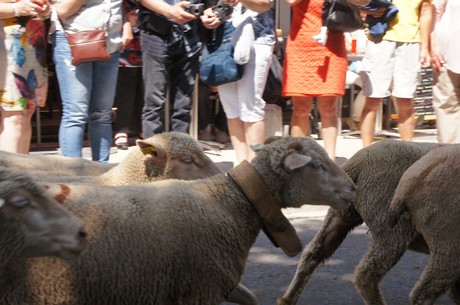 saint-remy-de-provence