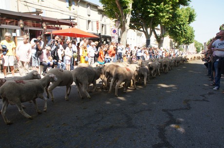 saint-remy-de-provence