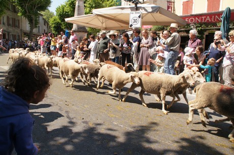 saint-remy-de-provence