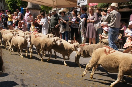 saint-remy-de-provence
