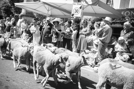 saint-remy-de-provence