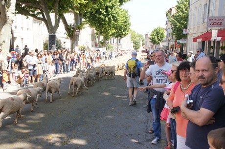 saint-remy-de-provence