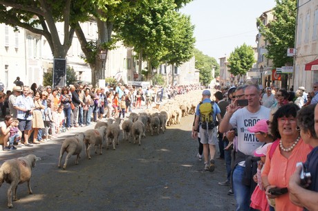 saint-remy-de-provence