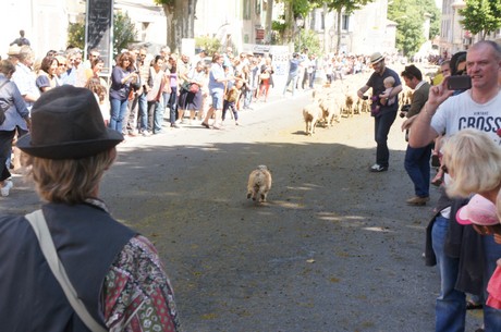 saint-remy-de-provence