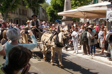 saint-remy-de-provence