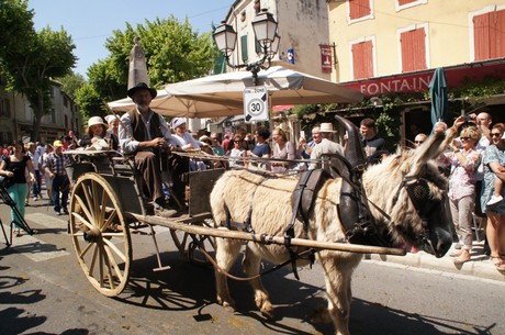 saint-remy-de-provence